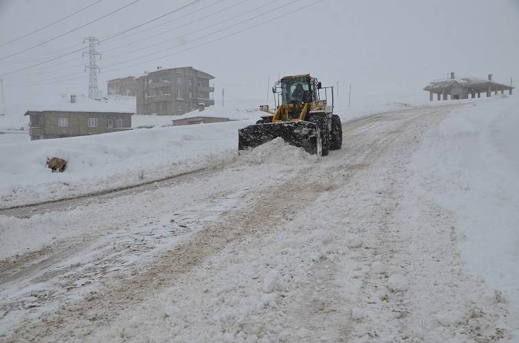 Kar Doğu'yu fena vurdu, araçlar yollarda kaldı! Van, Bitlis ve Muş'ta yollar kapandı: 293 yerleşim birimine ulaşım sağlanamıyor! 8