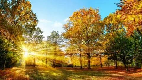 Haftasonu hava sıcaklıkları artıyor mu? Cumartesi hava nasıl olacak? Bugün hava nasıl? 7