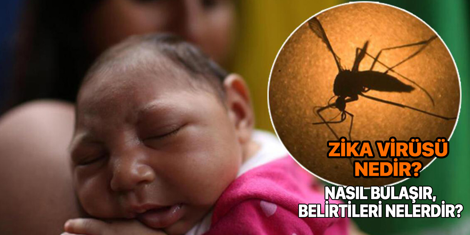 Zika virüsü nedir? | Nasıl bulaşır? | Zika virüsü belirtileri nelerdir?