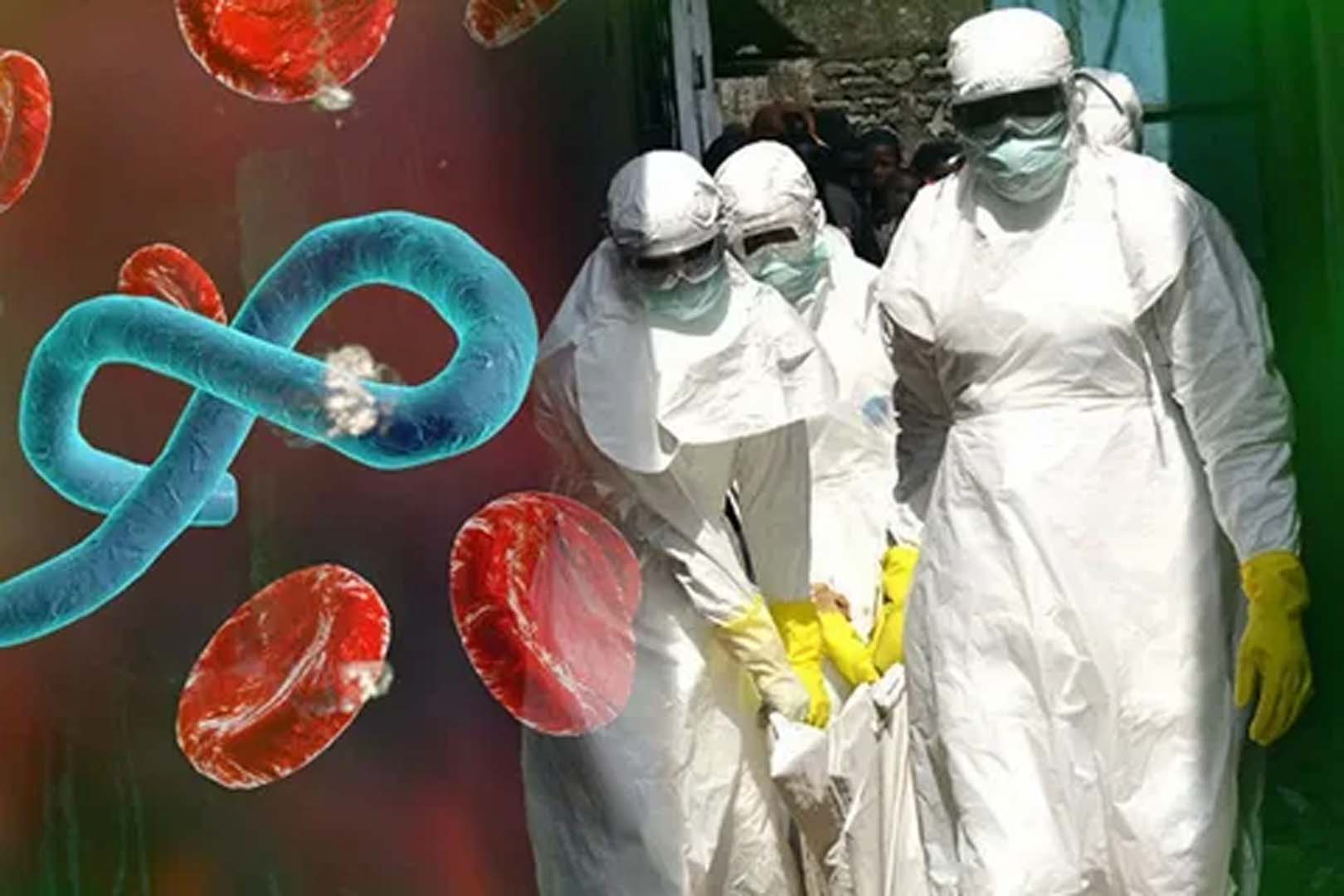 Afrikalı bakanlar, Ebola salgını için Uganda'da acil toplantı düzenliyor