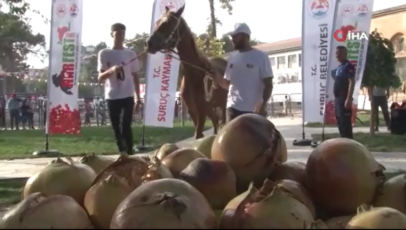Suruç’ta 'En iyi at ve en büyük Nar Festivali' renkli görüntülere sahne oldu