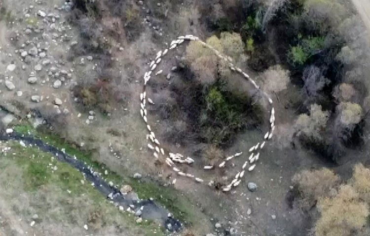 Çin'de yaşanan ilginç görüntü Türkiye'de de ortaya çıktı!