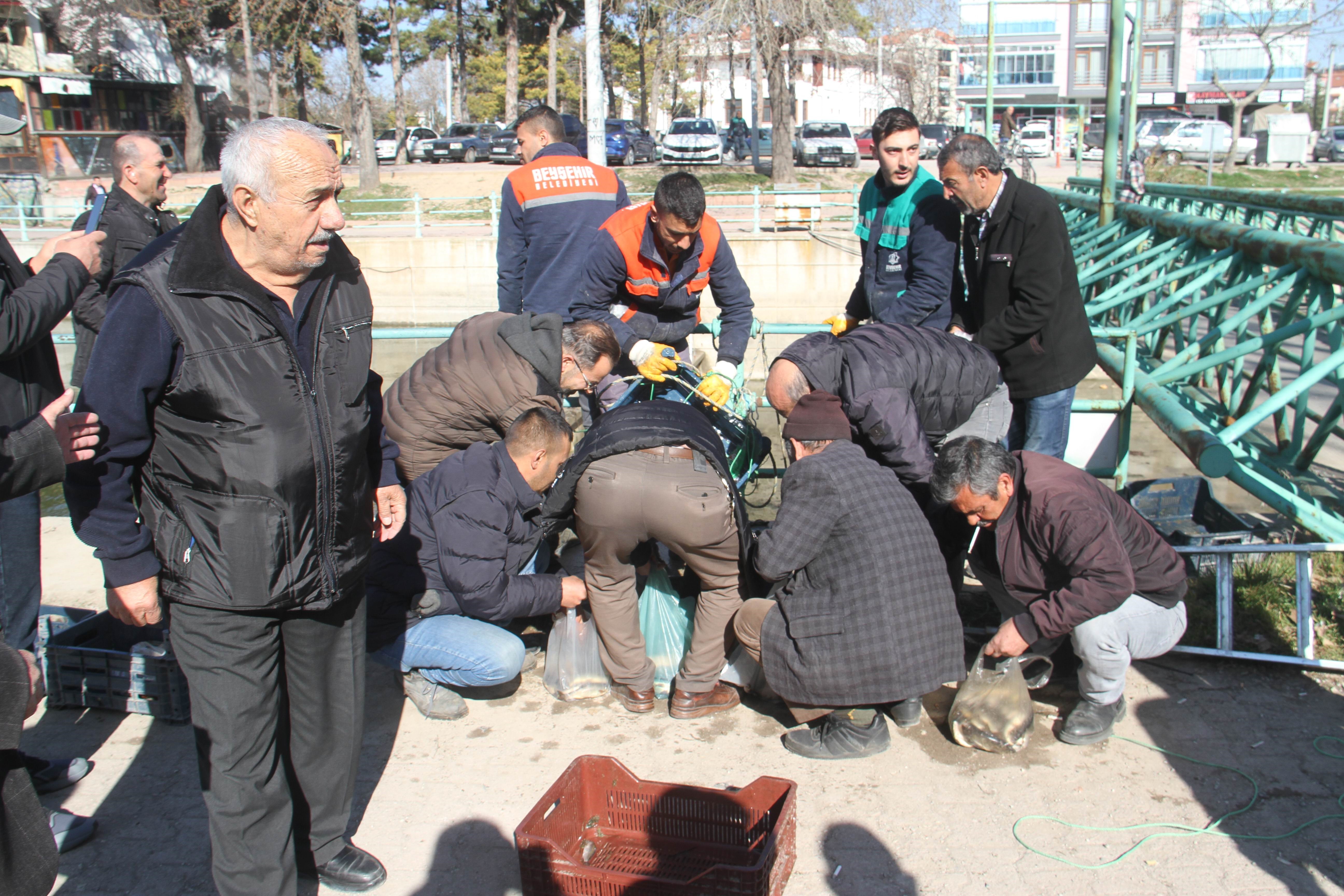 Konya’da ilginç görüntüler! Kanala düşen balıkları toplamak için vatandaşlar suya atladı!