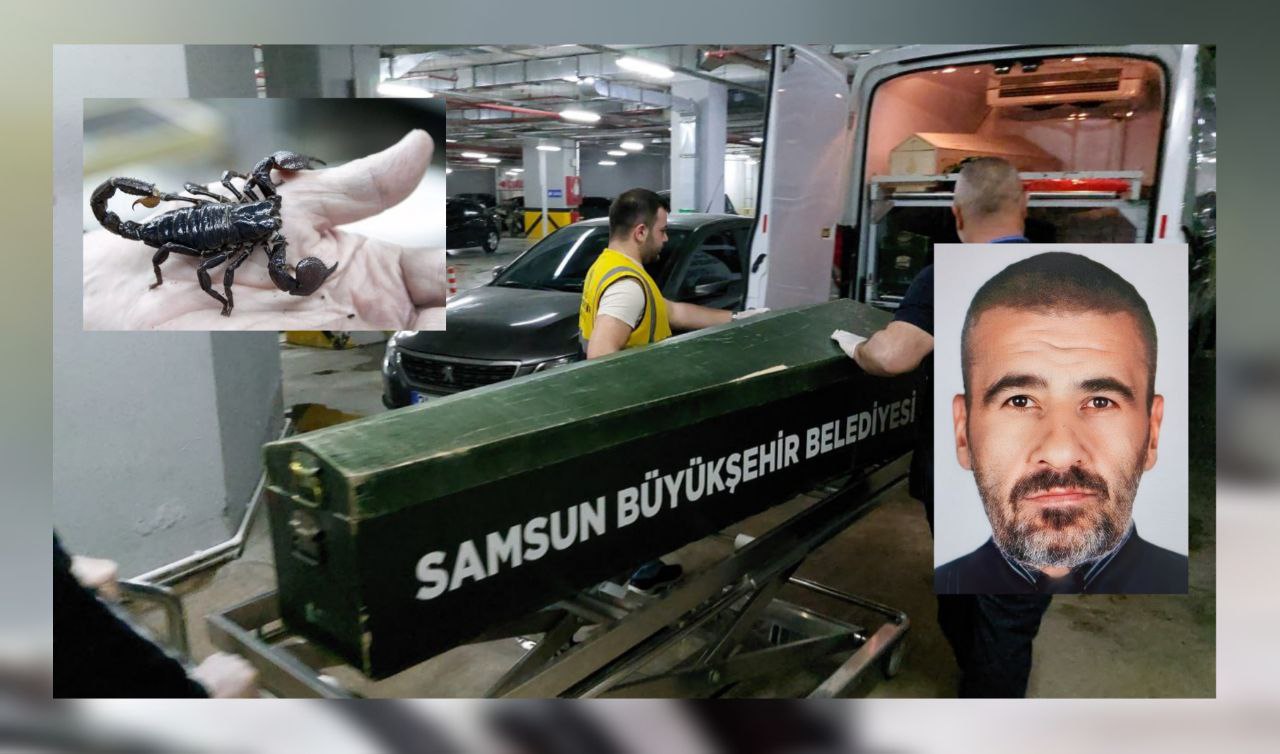 Kayseri'de akıl almaz ölüm! Akrep yiyerek hayatına son verdi!